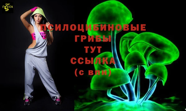 стафф Пересвет