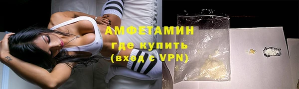шишки Пестово