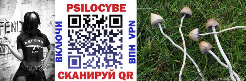 гидра зеркало  Соль-Илецк  Псилоцибиновые грибы Cubensis 